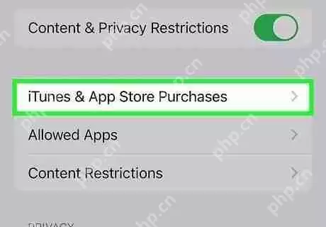 apple store被删除了怎么办 App Store恢复方法