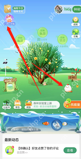 支付宝蚂蚁庄园5周年回顾在哪看