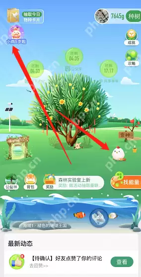 支付宝蚂蚁庄园5周年回顾在哪看