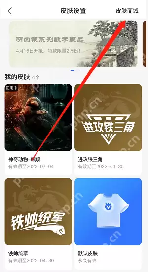 支付宝神奇动物魔法皮肤怎么设置
