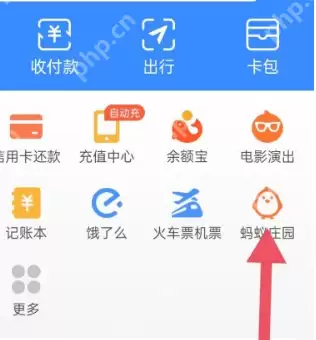 支付宝蚂蚁庄园怎么给小鸡改名