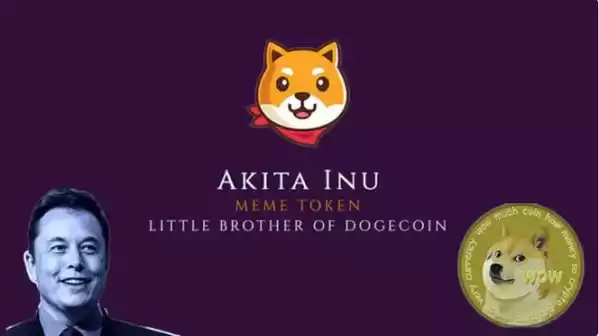 秋田犬币价值分析