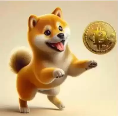 秋田犬币面临的挑战