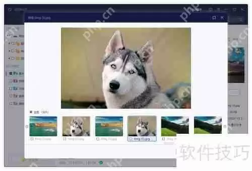 相册照片被彻底删除了，有什么办法可以恢复吗？