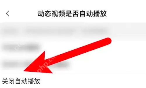 哔哩哔哩怎么关闭动态视频自动播放?哔哩哔哩关闭动态视频自动播放的方法