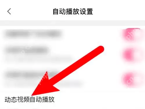 哔哩哔哩怎么关闭动态视频自动播放?哔哩哔哩关闭动态视频自动播放的方法