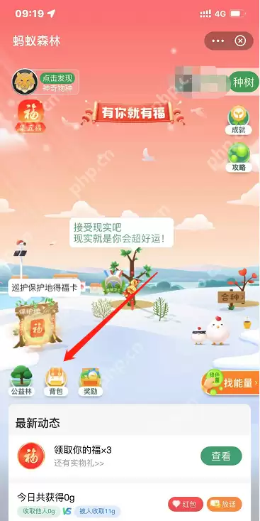 支付宝蚂蚁森林背景怎么更换