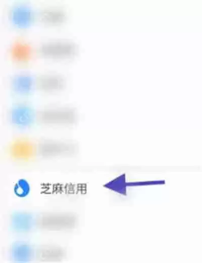 支付宝怎么删除芝麻信用的学籍