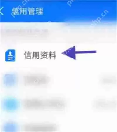 支付宝怎么删除芝麻信用的学籍