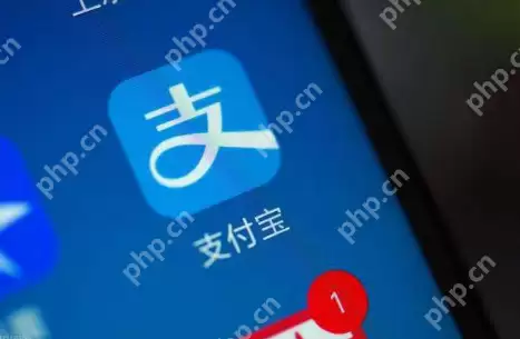 支付宝英语四六级成绩怎么查询