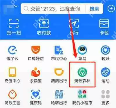 支付宝开运礼怎么领取