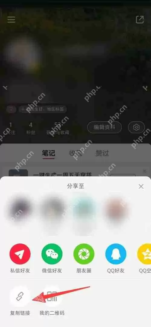 小红书个人主页链接怎么查看?小红书个人主页链接查看方法