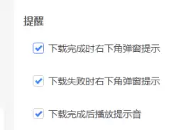 迅雷11如何设置下载失败时弹窗提示？迅雷11设置下载失败时弹窗提示的方法