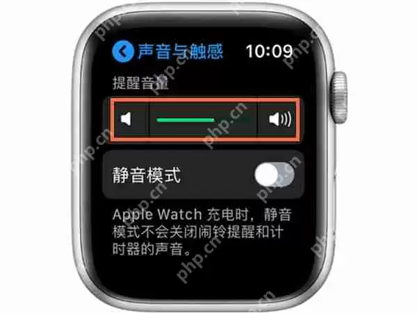 applewatch音量怎么调节