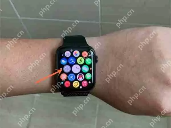 applewatch音量怎么调节