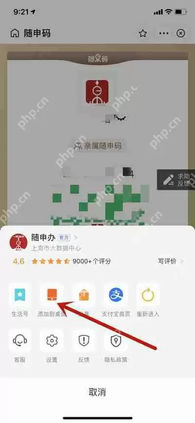 ios系统支付宝怎么查看自己健康码的URL代码
