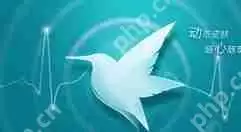 迅雷7如何下载大文件？下载大文件操作方法一览