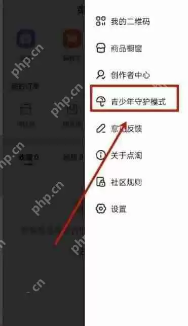 点淘未成年模式在哪里设置