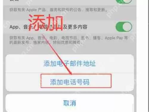 苹果手机联系人怎么添加