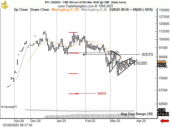 彼得·布兰特对标准普尔500指数的分析图表