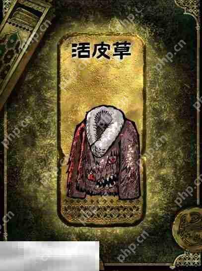 苏丹的游戏金色装备获取攻略 活皮草获得方法