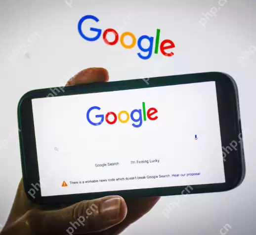 谷歌网站永久免费进入 谷歌在线浏览器免费入口2025 - 游乐网