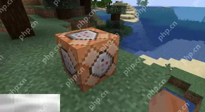 我的世界playanimation指令怎么用 指令详细使用方法介绍