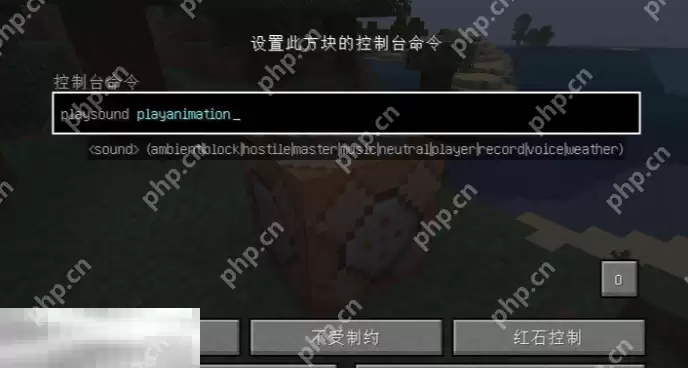 我的世界playanimation指令怎么用 指令详细使用方法介绍