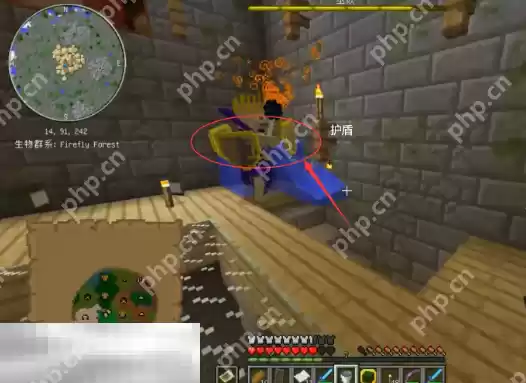 我的世界暮色森林巫妖王护盾怎么破除 巫妖王打法攻略一览