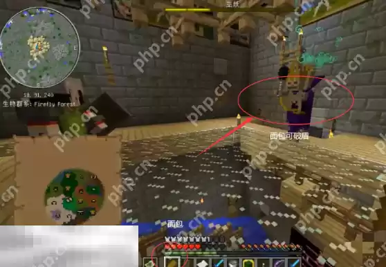 我的世界暮色森林巫妖王护盾怎么破除 巫妖王打法攻略一览