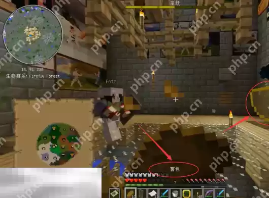 我的世界暮色森林巫妖王护盾怎么破除 巫妖王打法攻略一览