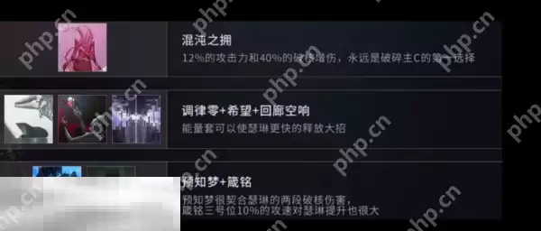 无期迷途瑟琳带什么烙印 无期迷途瑟琳烙印推荐