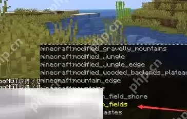 我的世界下雪的指令是什么 天气系统指令使用方法