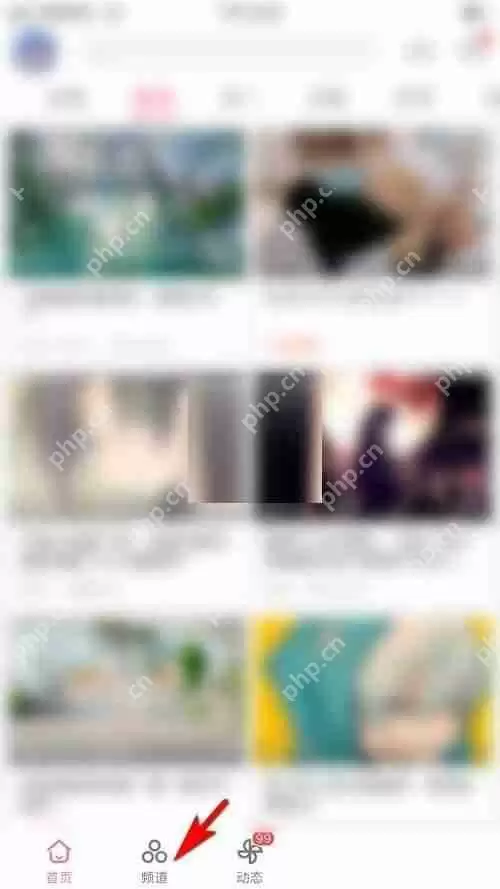 哔哩哔哩订阅频道在哪看