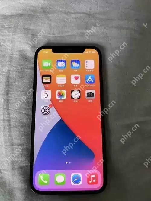 苹果手机怎么看充电次数 苹果手机充电次数怎么看教程