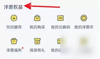 洋葱学园app怎么打印我的错题 洋葱学园打印我的错题方法