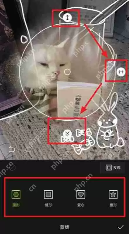 醒图蒙版在哪里