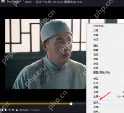 PotPlayer怎么设置进度条显示时间？