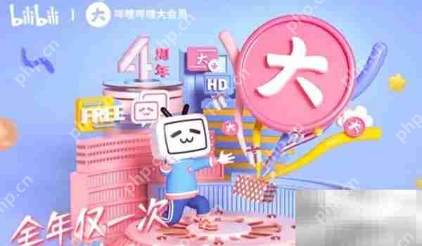 哔哩哔哩大会员作用介绍