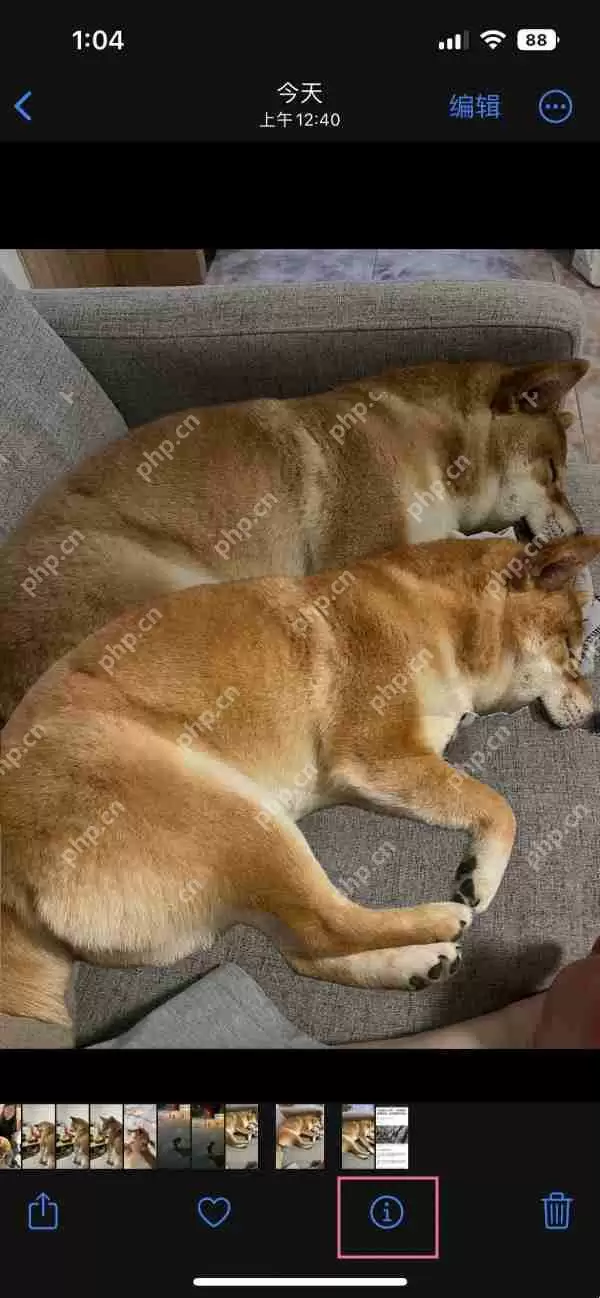 iphone别人照片拍摄时间如何查看