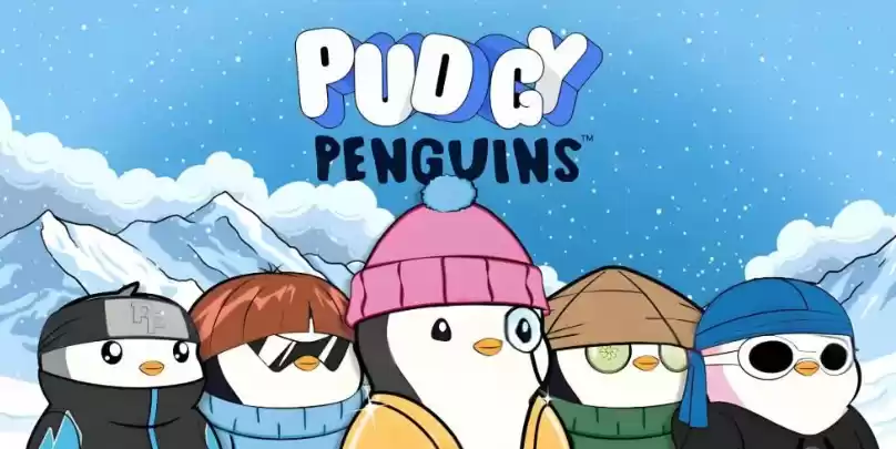 Pengu币图示