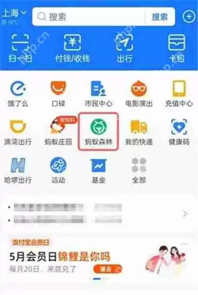 蚂蚁森林粉红树怎么获得