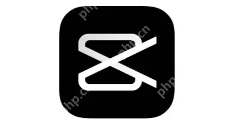 剪映视频怎么添加文字固定封面 剪映视频添加文字固定封面方法一览