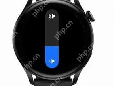 华为gt3音量怎么调节
