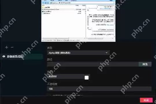 抖音直播伴侣窗口设置