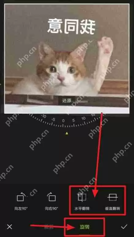 醒图镜像功能在哪