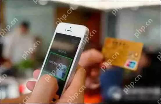 支付宝APP怎么使用未来已来？使用未来已来的方法介绍