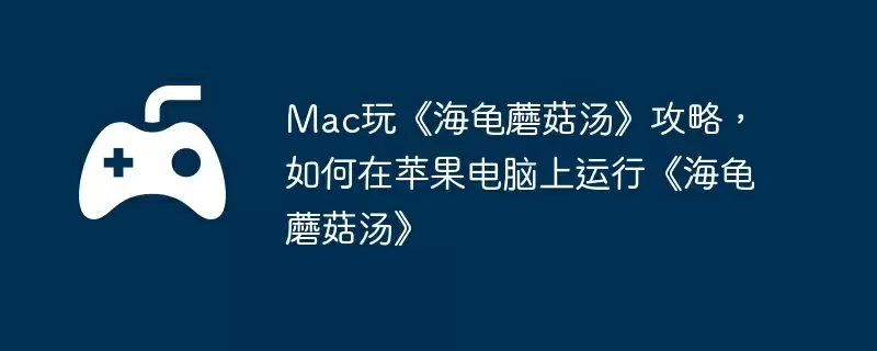 Mac玩《海龟蘑菇汤》攻略，如何在苹果电脑上运行《海龟蘑菇汤》