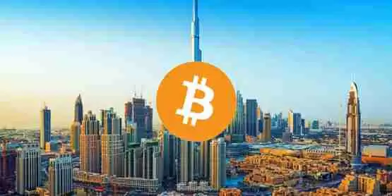 阿布扎比主权基金投资超4亿美元贝莱德比特币ETF解读