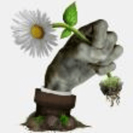 植物大战僵尸